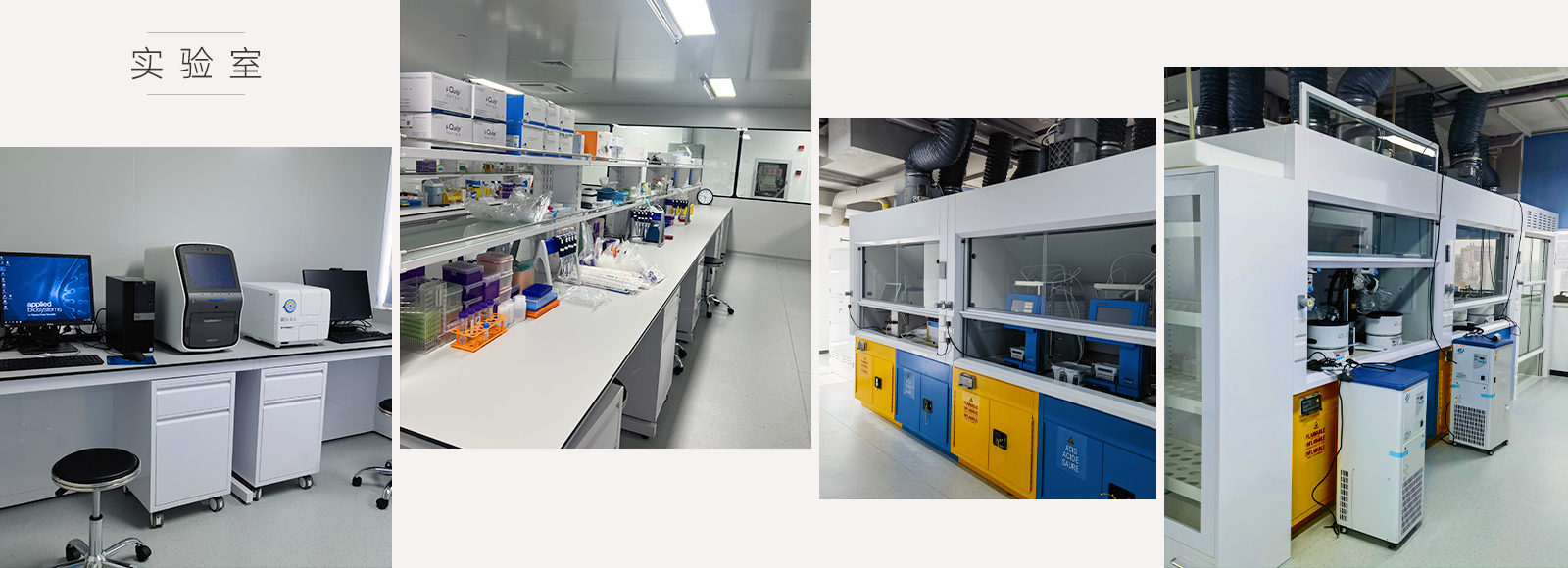 20231220172649415796.jpg 3.jpg